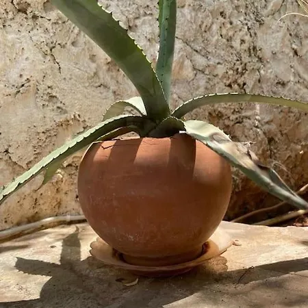 With Garden, 500 M To Beach, Close To